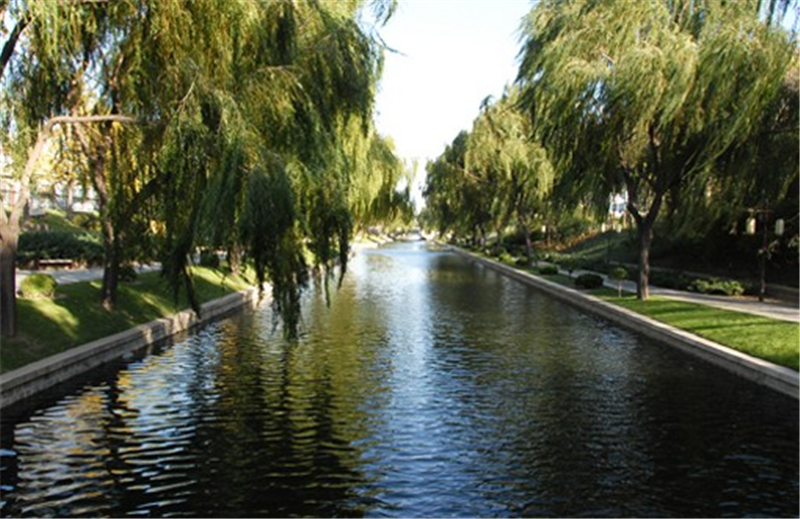 北京西土城溝河道告別黑臭