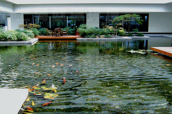 清水養魚技術