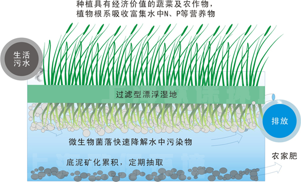 過濾型漂浮濕地污水凈化法