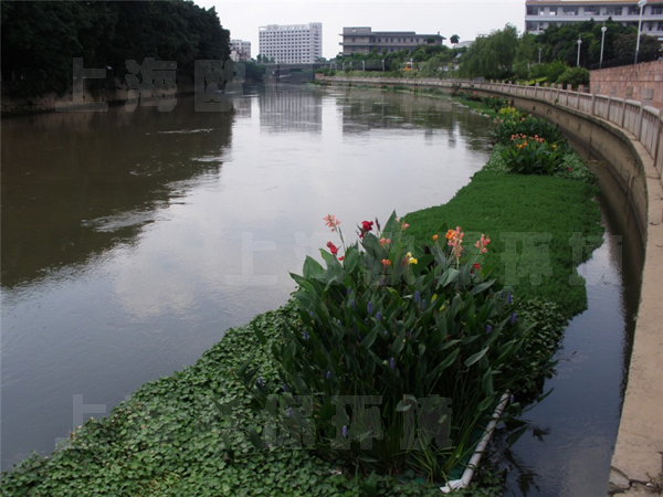 城鎮黑臭河道治理及生態修復六大關鍵點