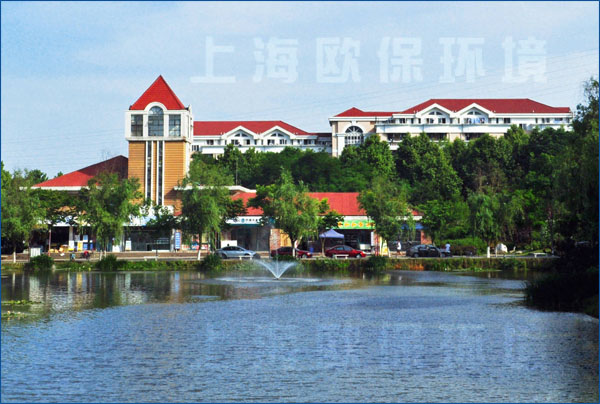 南京工業大學,人工湖治理,浮水噴泉,浮水噴泉曝氣機