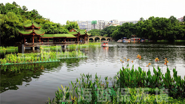 生態(tài)浮島,人工浮床在人工湖治理中的應(yīng)用