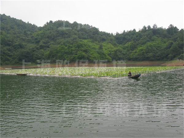 貴陽百花湖，湖泊治理