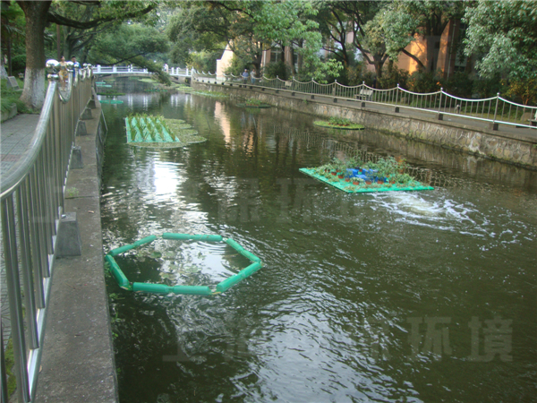 華東理工大學(xué)校園河道治理