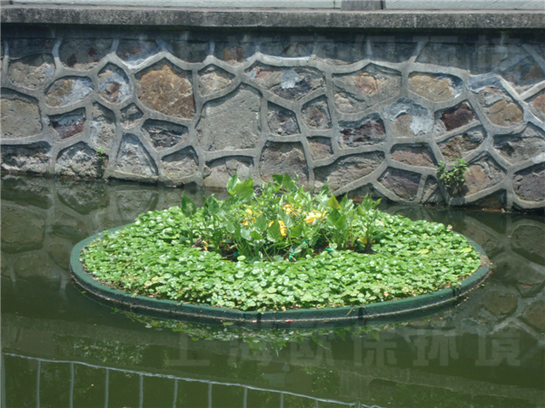 華東理工大學(xué)校園河道治理-生態(tài)浮島種植初期-樣式三