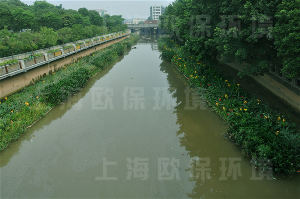 生態浮島應用于廣州汾江河治理