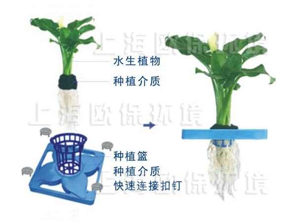 園藝型生態浮島安裝種植方式