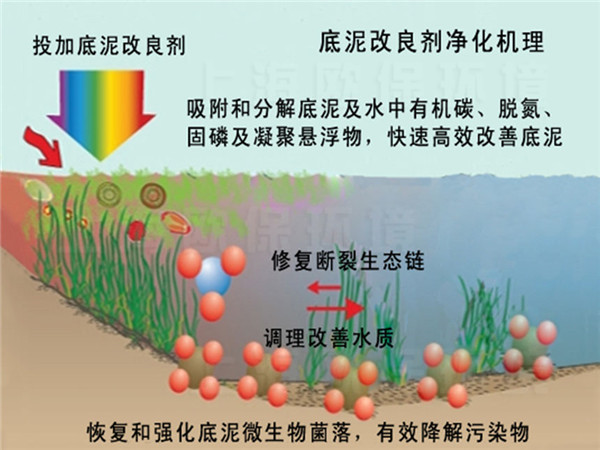 底泥改良劑凈水機理