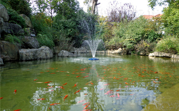 室外景觀魚池水處理