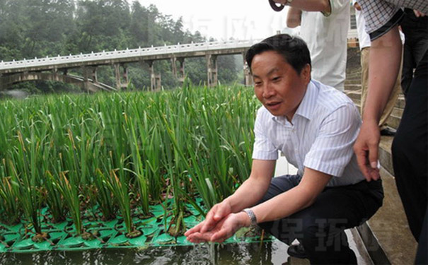 領導視察小關水庫治理成果