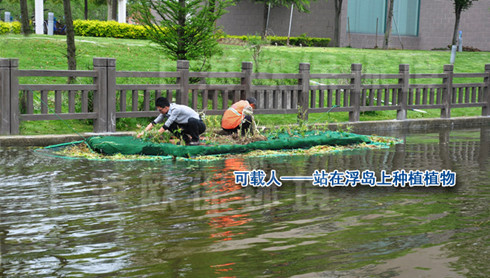 浮田型生態浮島