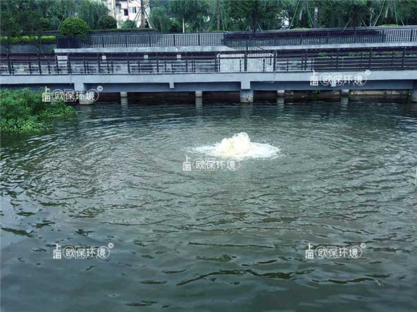 涌泉式曝氣機(jī)在公園人工湖中應(yīng)用