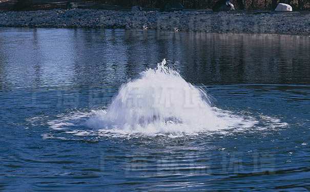 涌泉曝氣機(jī)在公園人工湖中應(yīng)用