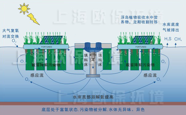 水庫生態修復裝置-工作及凈水原理圖