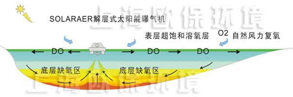 解層式太陽能曝氣機運行初期