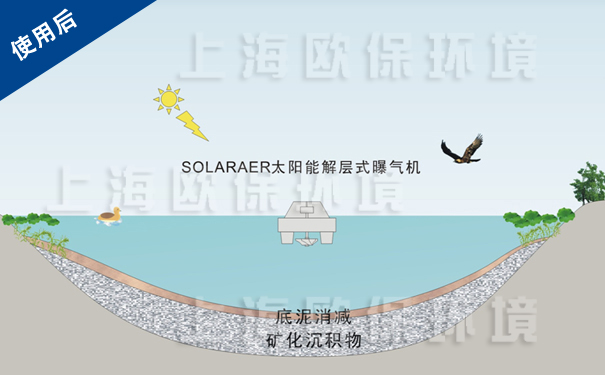 使用解層式太陽能曝氣機后，底泥消減，水體新陳代謝平衡