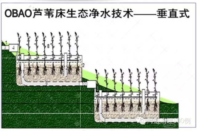 蘆葦床生態凈水系統