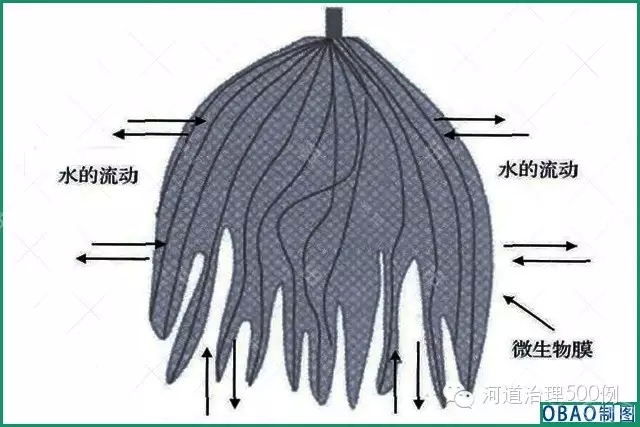 生態(tài)草結(jié)構(gòu)示意圖