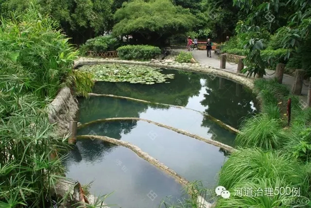 植物塘床系統