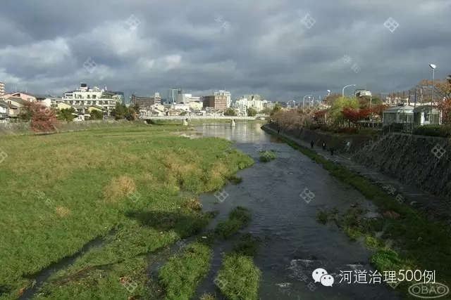 創造生物棲息地