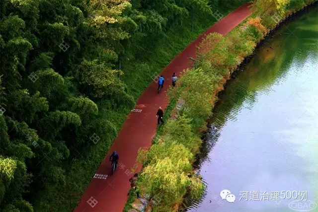 植物濕地堤岸