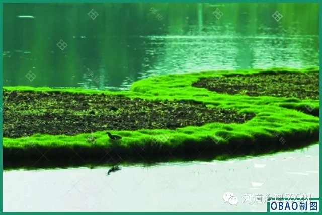 浮田型生態(tài)浮島