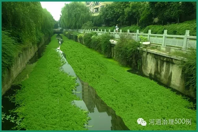 這樣滿河布置，合適嗎？