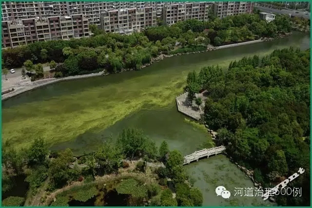 最近，隨著氣溫逐漸升高，各地藍(lán)藻現(xiàn)象頻繁