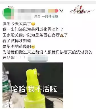 巢湖藍藻爆發，網友吐槽