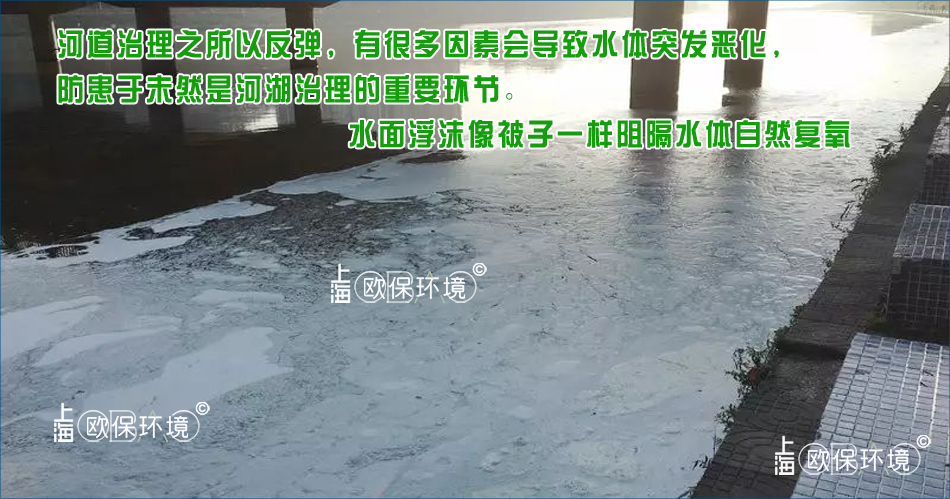 泡沫覆蓋水面，對水體產生嚴重影響，不光使水面復氧隔斷，同時還影響水面觀感