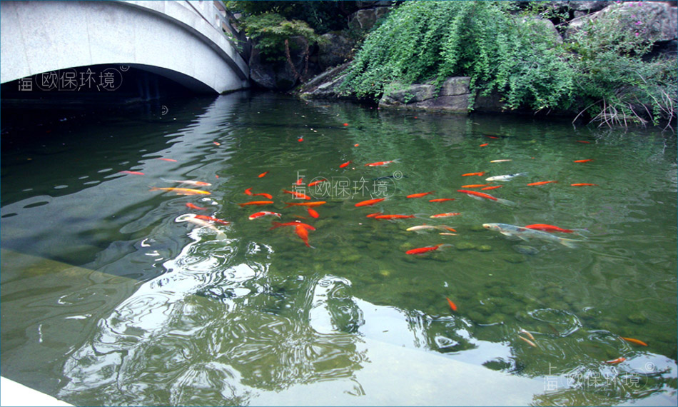 污水廠出水提標(biāo)改造——生物強(qiáng)化脫氮，將一級(jí)A排水提高至地表IV標(biāo)準(zhǔn)，助力污水廠出水提標(biāo)改造