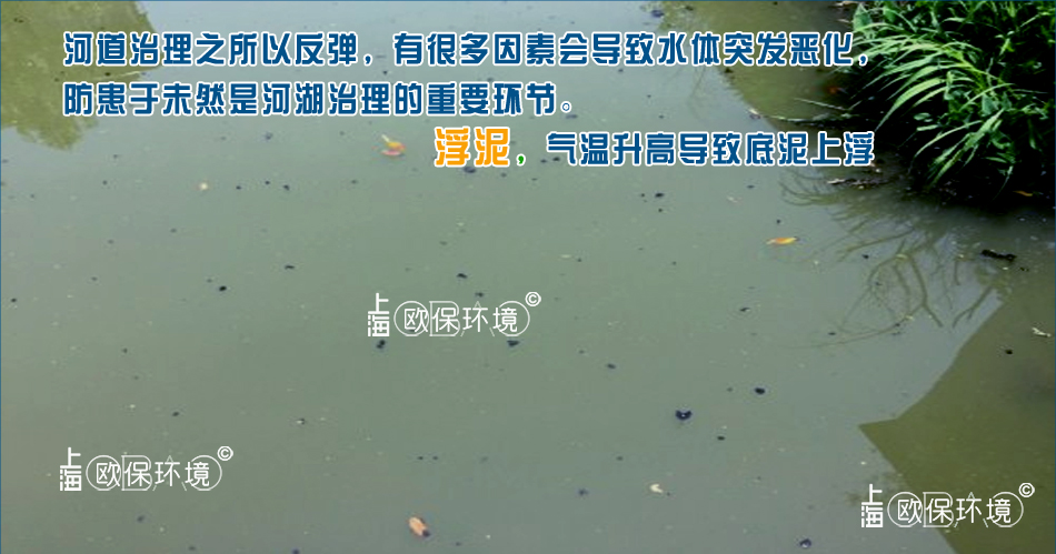 湖泊淺水區域底泥危害：湖泊邊緣由于與主湖區水體交換程度低，周邊污染不斷排入，凈水措施的缺乏，導致底泥增厚，水體缺氧度高，水溫升高產生厭氧，底泥上浮，初期少量浮泥，后期將出現大量浮泥，甚至完全覆蓋水面，加劇水體缺氧水質惡化。