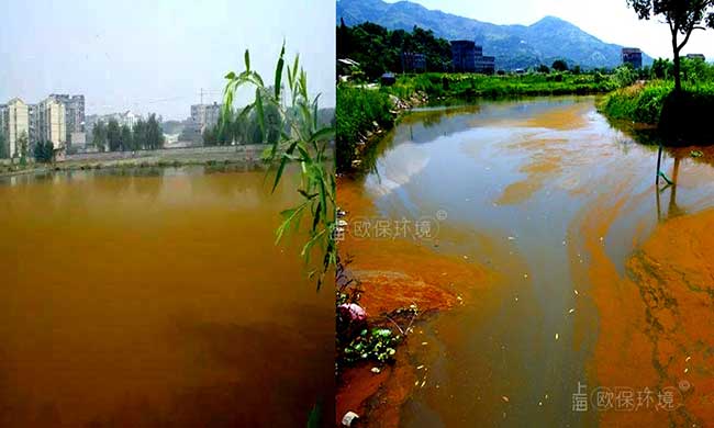 裸藻門通常大量的生存在平靜的內(nèi)陸水體，在池塘、水溝的表面形成綠色或者紅色的水華