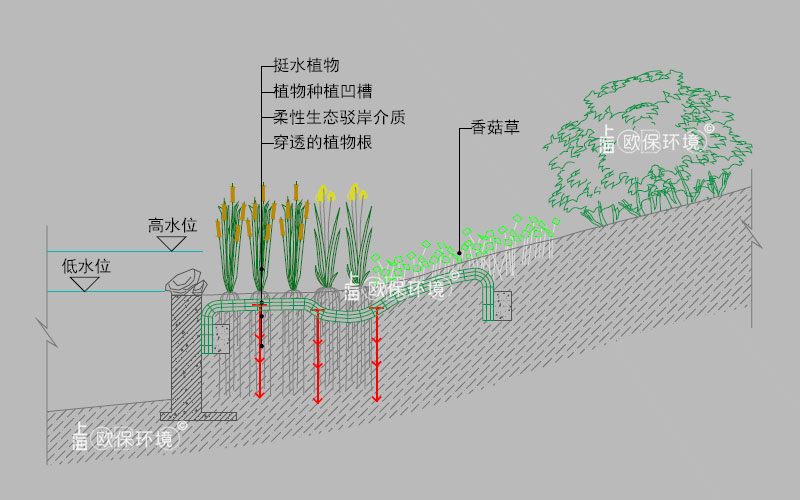 生態駁岸