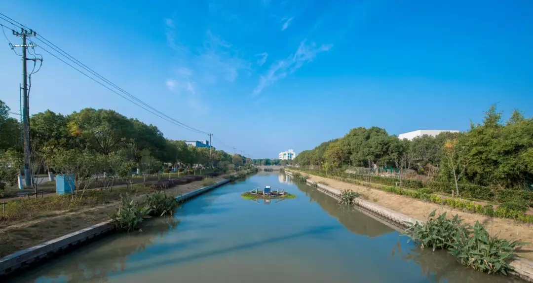 金山區新豐港（一體式太陽能曝氣浮島）