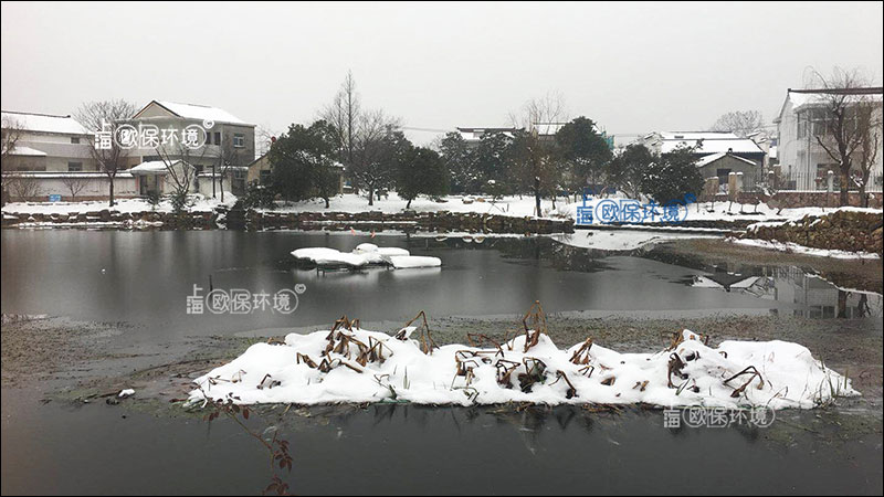 漂浮移動濕地的絲狀保溫層（復合纖維浮動濕地）植物可以安全越冬