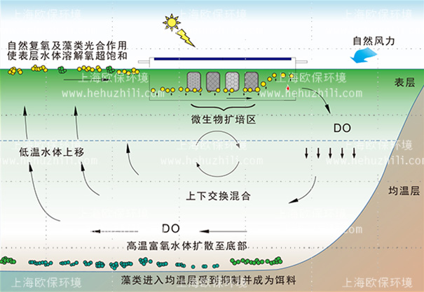 活化能曝氣機凈水原理