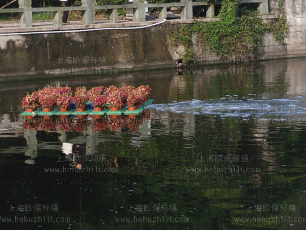 造流式活化能曝氣機