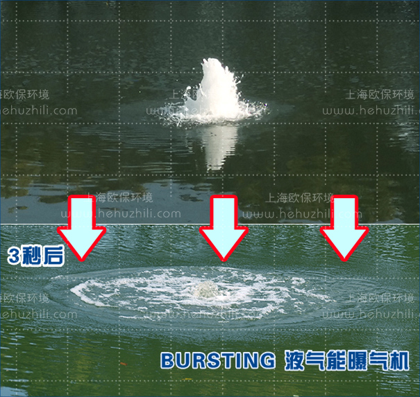 BURSTING-230液氣能曝氣機