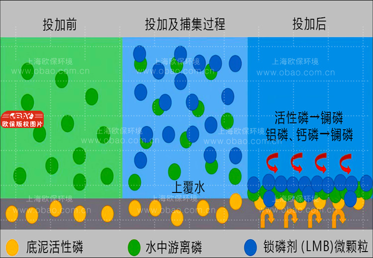 鎖磷劑實現泥水共治