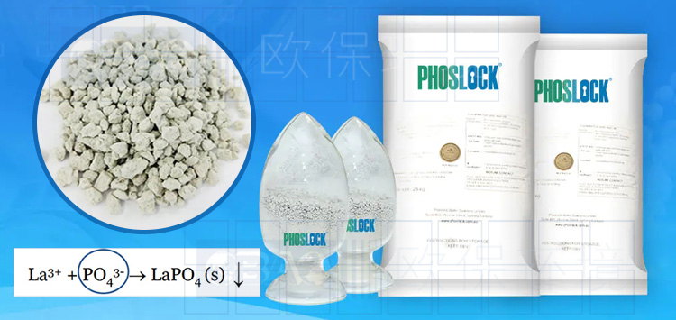 Phoslock®鎖磷劑，全球案例超過300個，使用后總磷可降至0.01mg/L，達到地表I標準，該鎖磷劑符合北美及歐洲飲用水源地NSF\ANSI60標準。