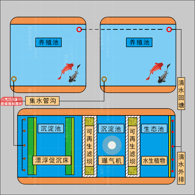 三池兩壩-可再生生物過濾壩工藝：魚塘尾水治理