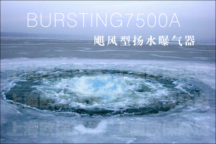 BURSTING7500A颶風型揚水曝氣器