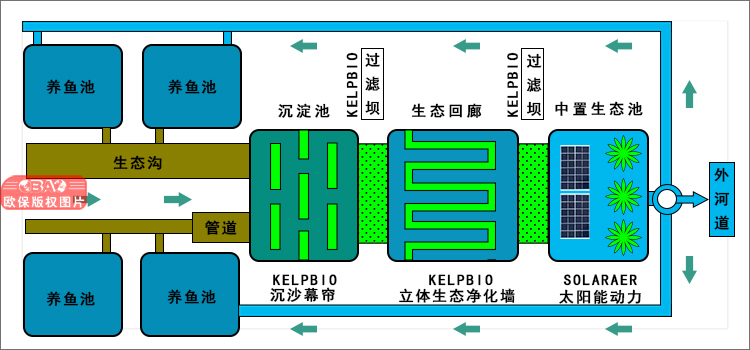 三池兩壩-可再生生物過濾壩工藝：魚塘尾水治理