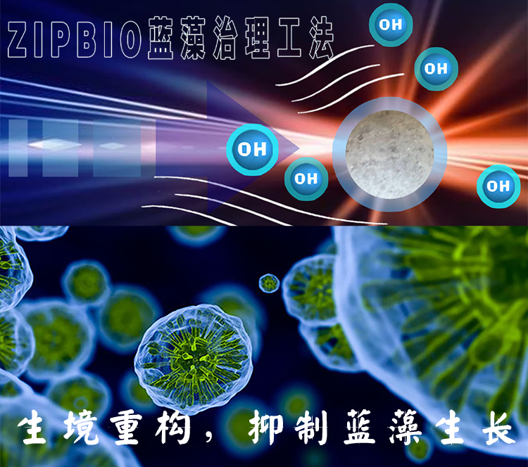 生境重構抑制藍藻生長