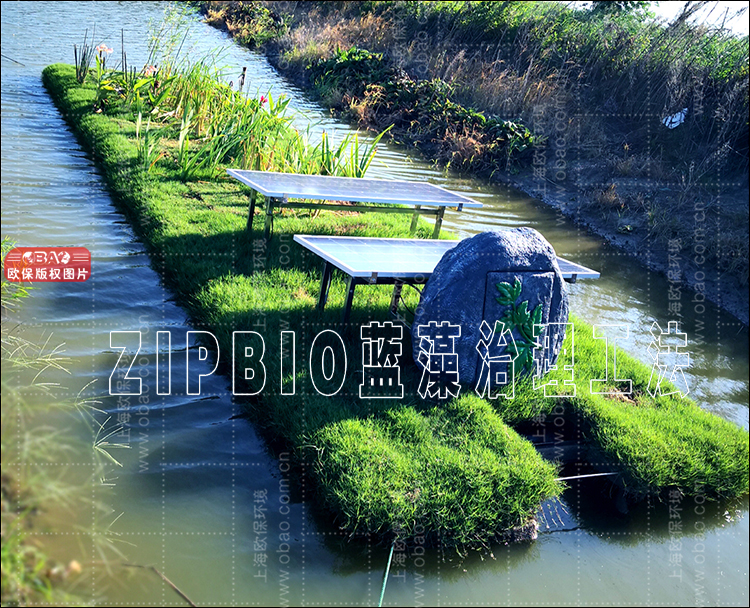 ZIPBIO藍藻治理工.jpg