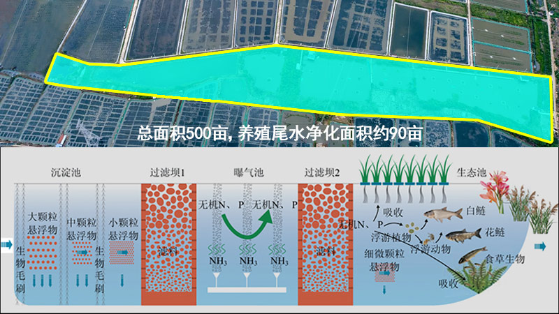 “三池兩壩”尾水治理占地面積