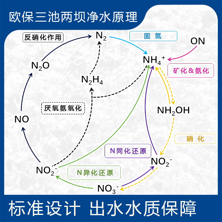 歐保改進型三池兩壩工藝生態治理養殖尾水的原理