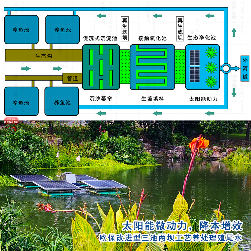 歐保增強改進型三池兩壩工藝以生態理論為指導，為養殖農戶減輕了負擔，實現降本增產。