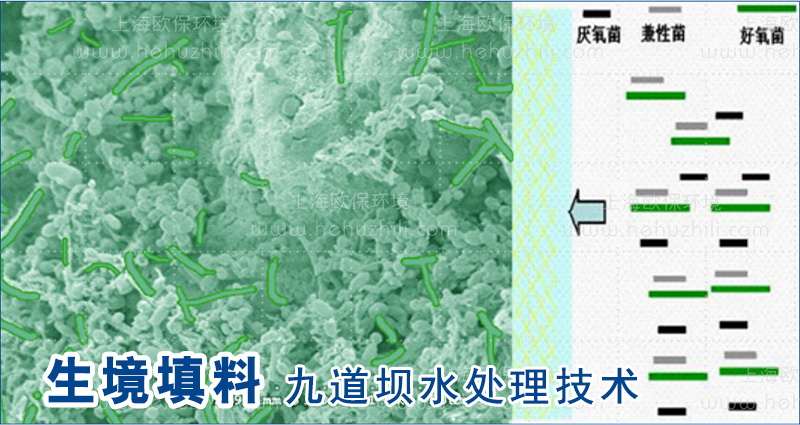 生境填料作為微生物載體，避免微生物大量流失，形成生物膜體系